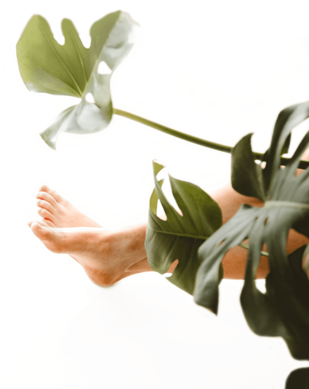 Pure Clean Feet Comfortable